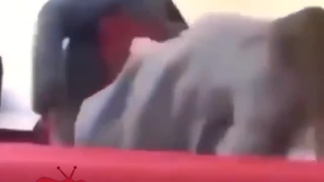 She Got The Chris Breezy Out Of Him