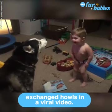 Baby Has Engrossing Conversation With Her Patient Bulldog