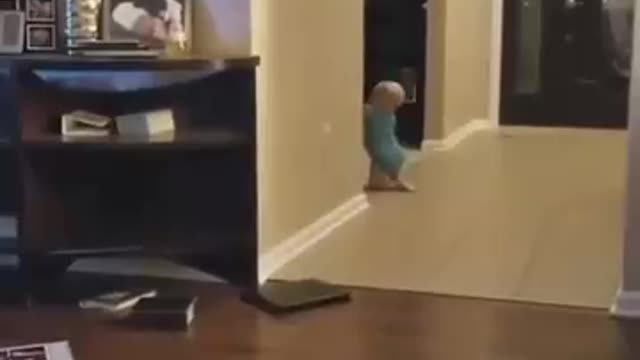 A baby plays hide-and-seek with the dog