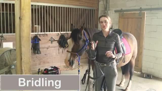 How to ride a horse step by step