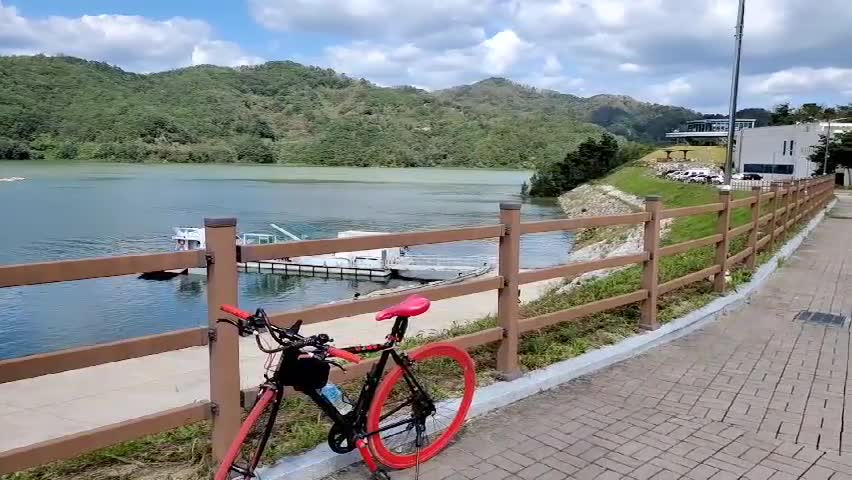 In a reservoir in Andong, Korea