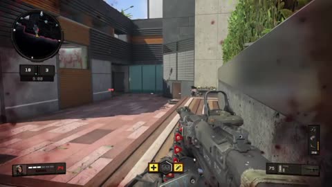 Call of Duty Modern Black Ops 4 Never Ending