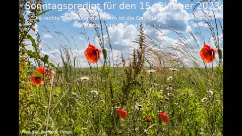 Sonntagspredigt für den 15. Oktober 2023