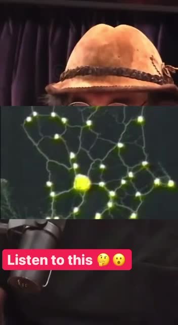 Fungus Smarter Than Humans!?