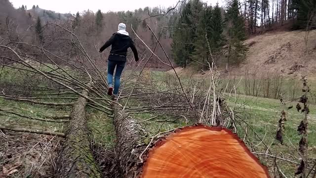 A graceful woman walking over a cut tree lying on the forest ground