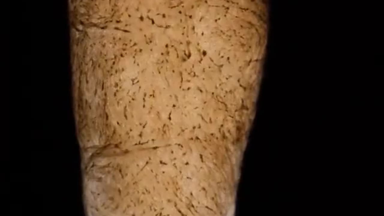 Object In Microscope 🔬