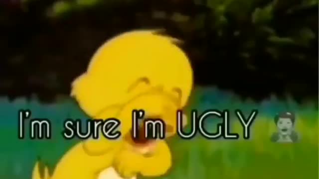 I'm sure I'm ugly