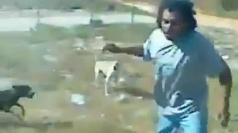 Man Fighting with dogs, funny 😆😅😆😅