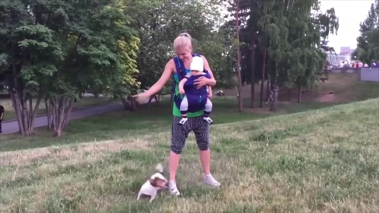 Cute baby dogs play with baby kids so let's see this moment.....