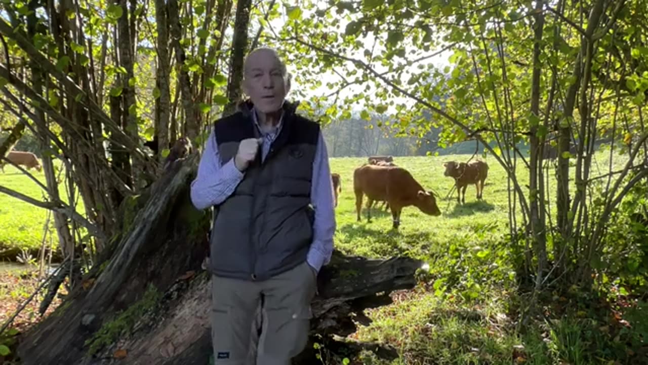 La vie spirituelle des vaches le guide ultime