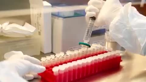 ¿Cuánto tiempo vive un inyectado?