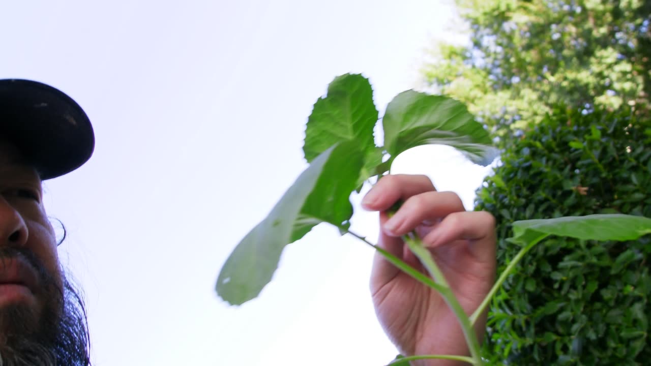 P1100572