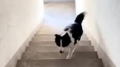Look_at_the_alone
