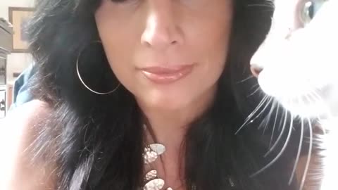 Amanda Grace Talks...Sadie her rescue cats weird habit of petting people!!!