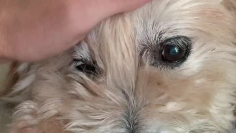 THOR Being THOR #Part 1!