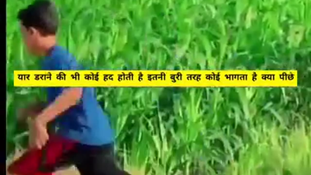 हँसते हँसते आपका पेट दर्द होने लग जायेगा , बहुत वायरल हो रहा है ये विडियो