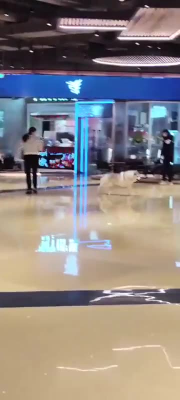 Someone forgot to lock the door and 100 Huskies went loose