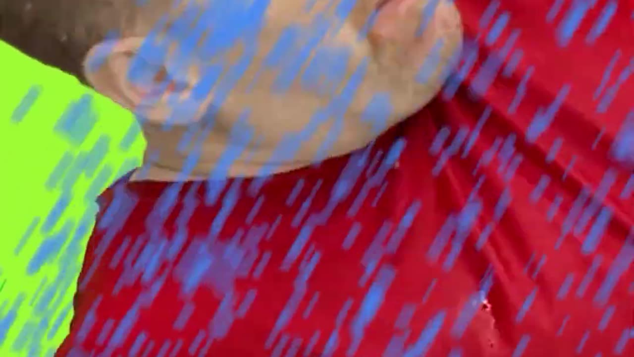 Safari animal island adventure