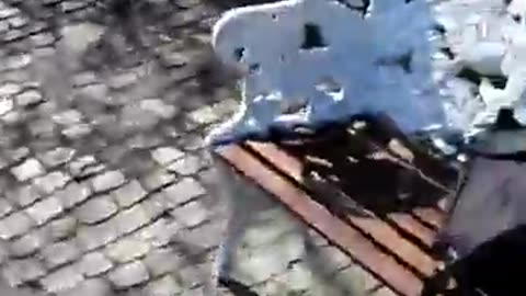 Från Vikingsberg till Sankt Jörgens plats. Helsingborg 8 April 2018