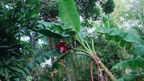 Afternoon in philippines