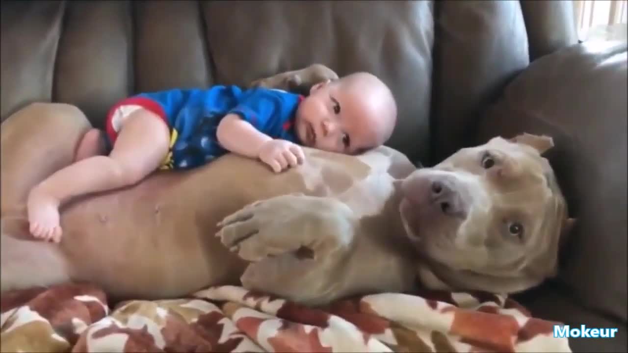 Adorable kids playing with Animals (TOO CUTE)