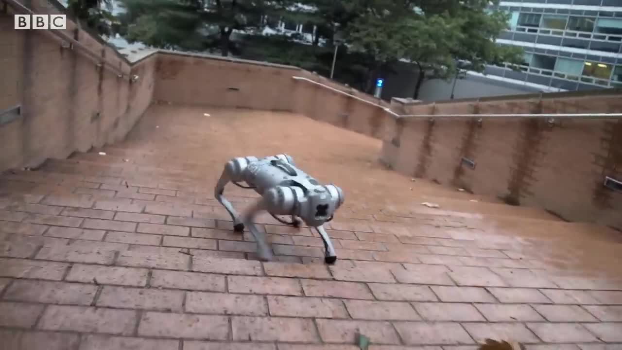 How mini cheetah robots learn to play soccer - BBC News