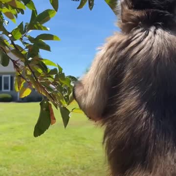 Afternoon!! Hope you all are having an amazing day!!