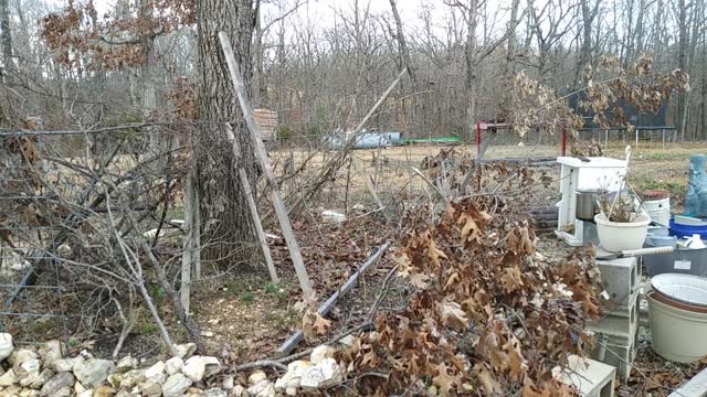 just showing to my friendship .