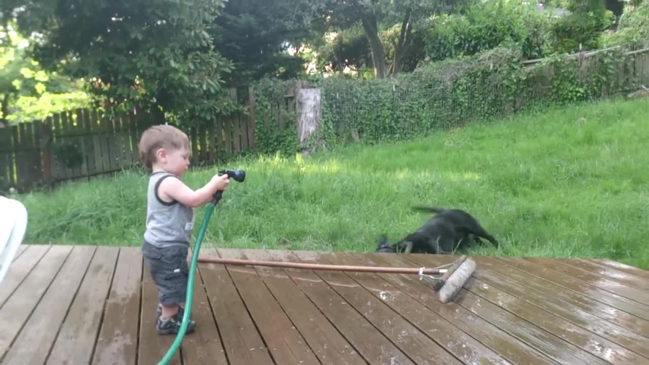 Best Friends - Russell and Cooper - Baby Laughing - Dog Bath