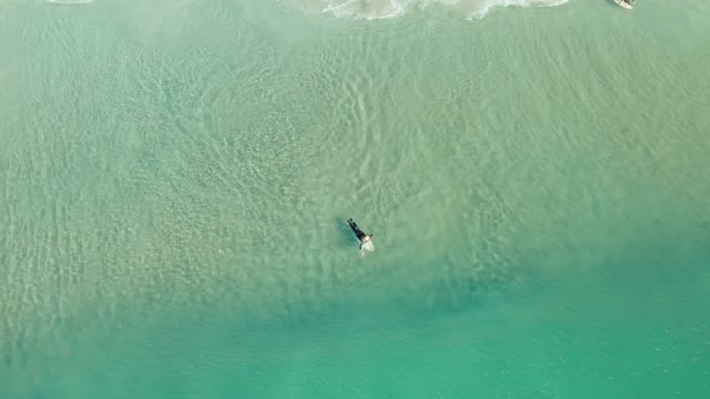 Surfers paddling against the tide