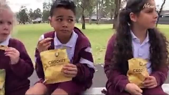 "Let's Eat Some More Crickets': Australian Schools Introduce 'Eco-Friendly' Bug Snacks for Children