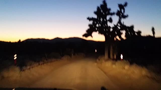 Joshua Tree