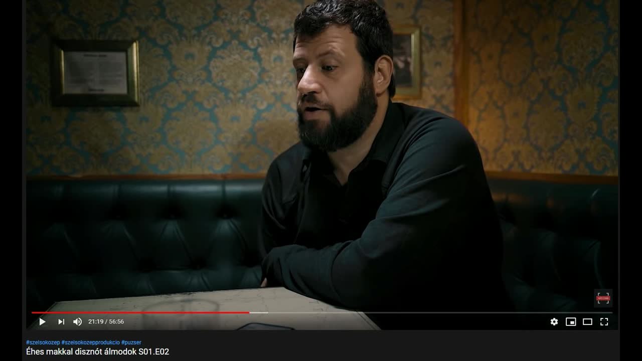 Puzsér félrevivő magyarázatai, hazugságai