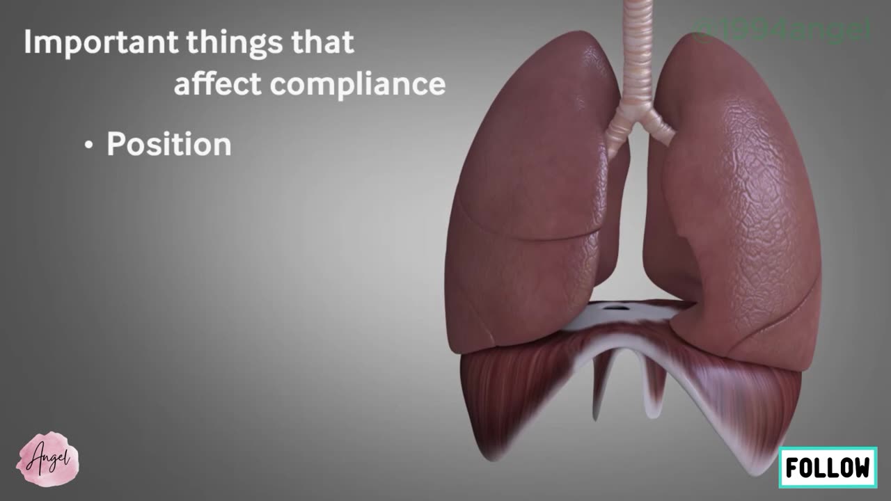 Basics of ventilation_ Compliance and pressure changes in the lungs