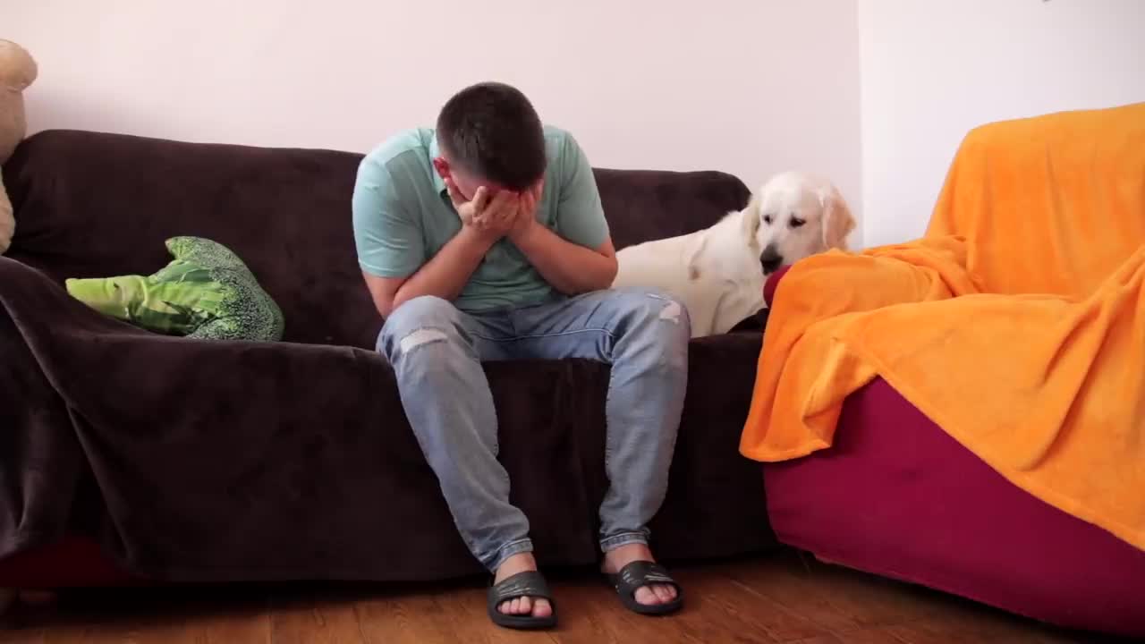 Funny dog reaction to me crying