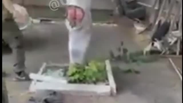 If you ever wondered what happens when a society goes ISIS.