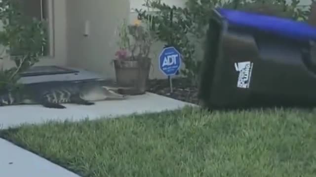 最強示範！！“面對強敵”，如何一擊而中？？