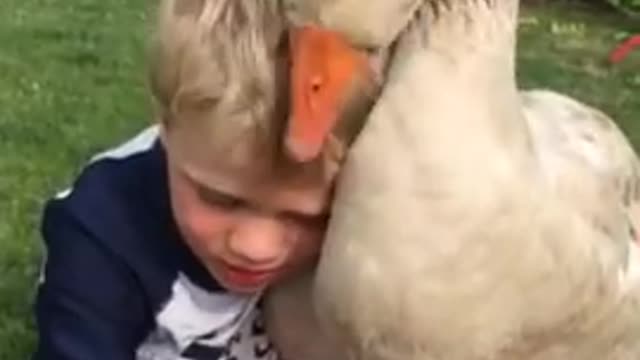 A boy and his happy pet goose