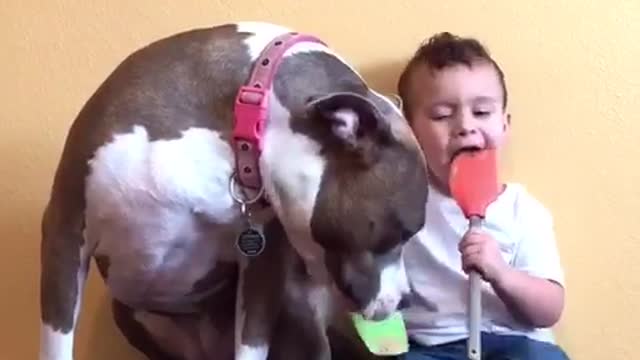 Toddler and pit bull throw peanut butter party