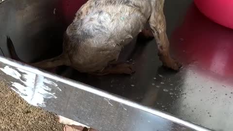 Itchy! take a shower