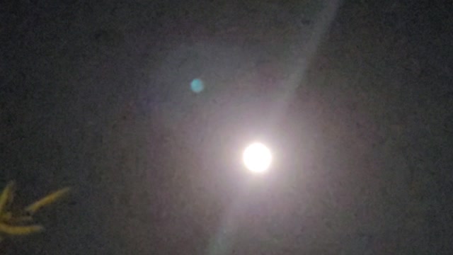 The full moon brightens the night