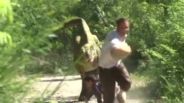 Person in Dinosaur Costume Scares Jogger