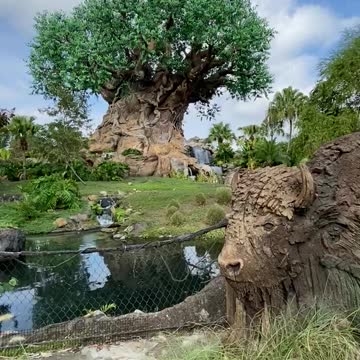 Disney Tree of Life