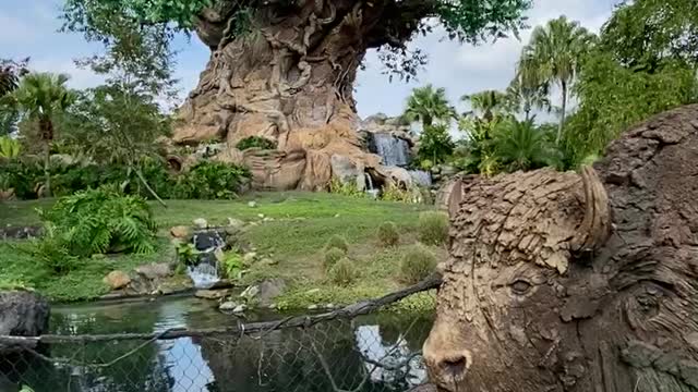 Disney Tree of Life