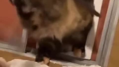 - Here, help yourself