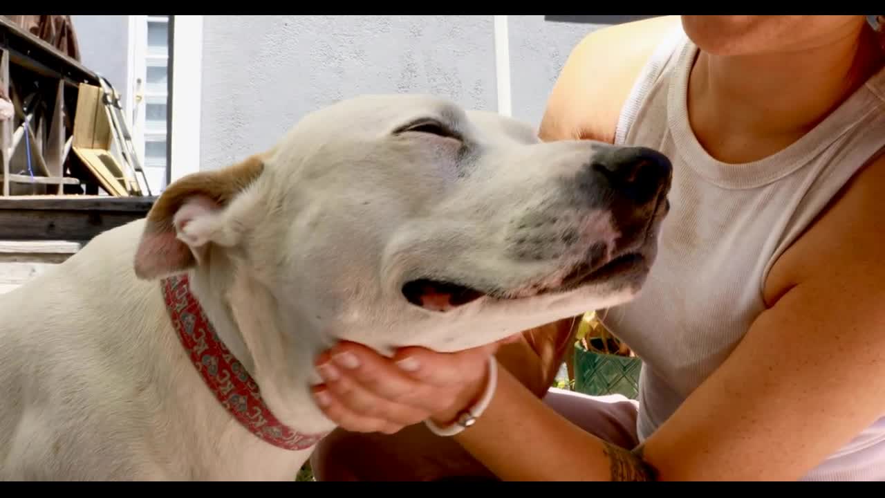 woman who pets and kisses her dog's head