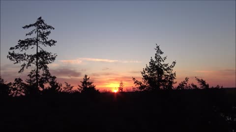 Sunrise