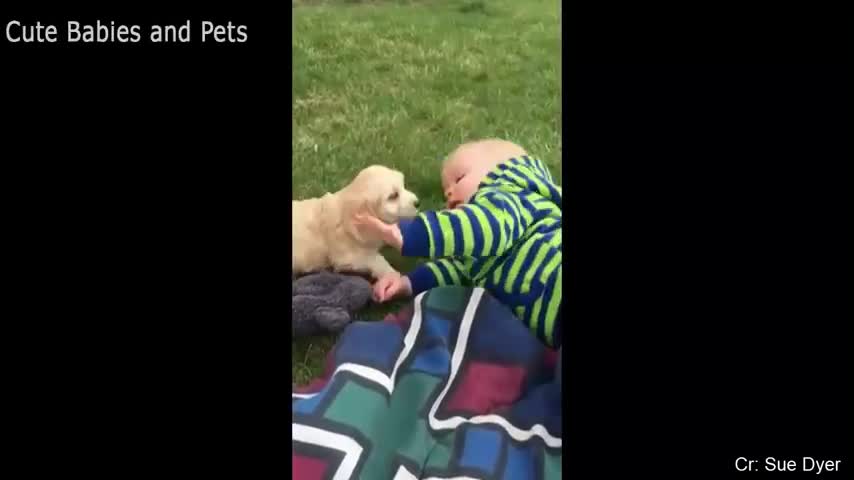 baby and dog best friends