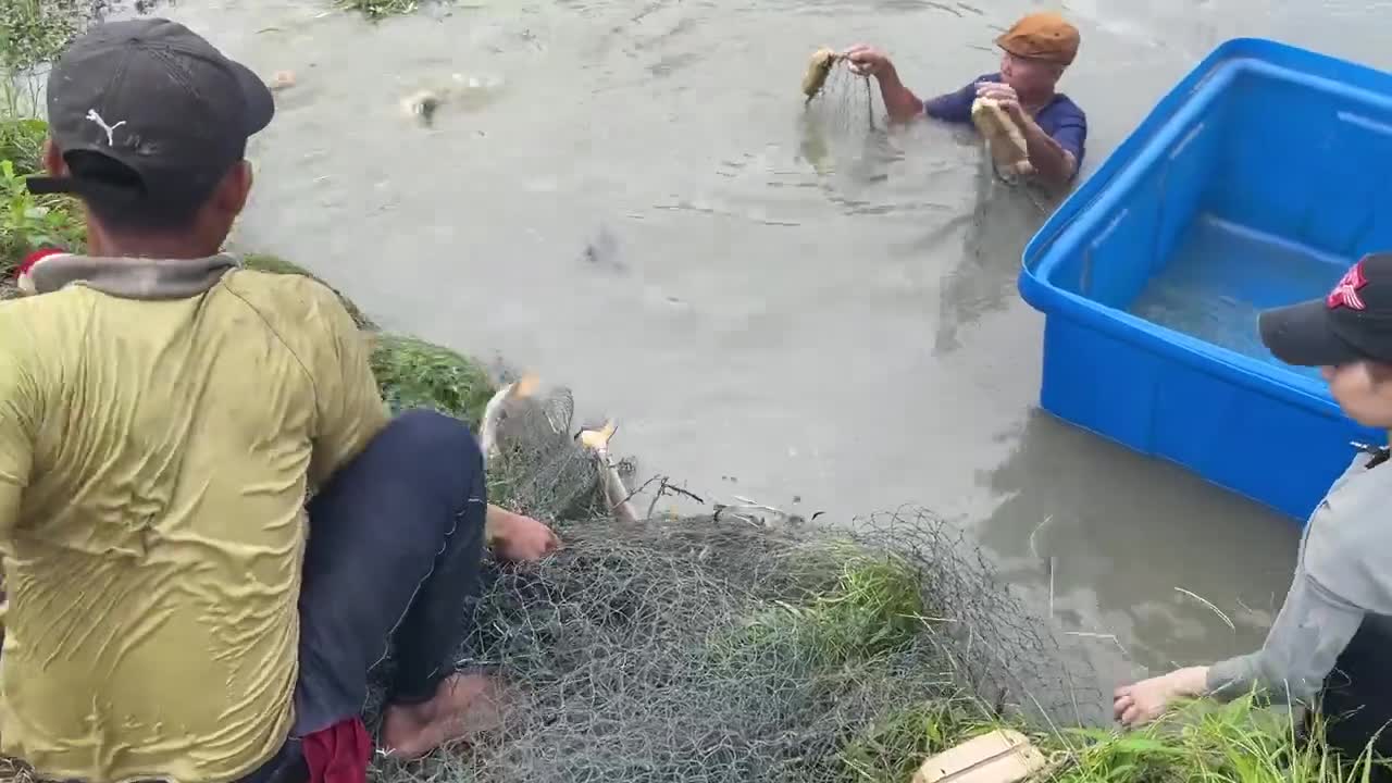 First Time Girl Cast Net Fishing DEFEATED By MONSTER Fish!-16