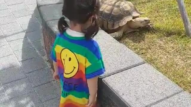 Baby met with turtle